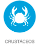 Crustáceos