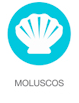 Moluscos