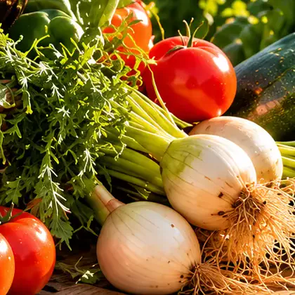 Cebollas recién arrancadas, con tomates de la huerta del restaurante